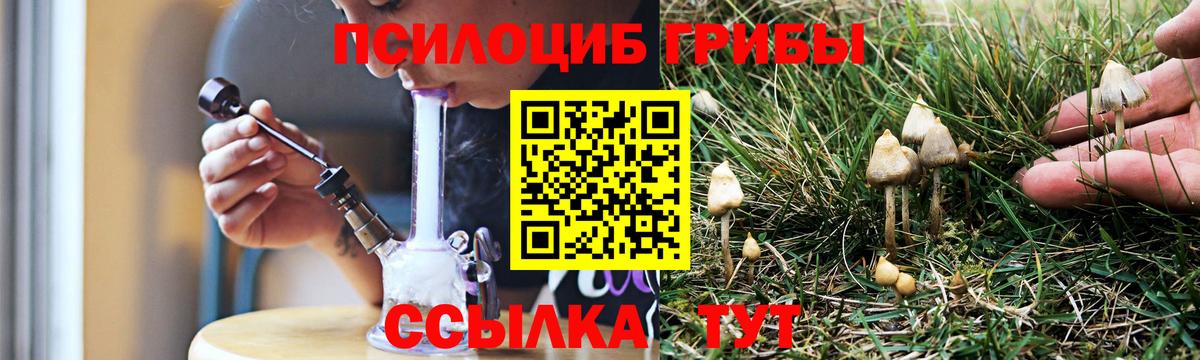 Галлюциногенные грибы MAGIC MUSHROOMS Сланцы