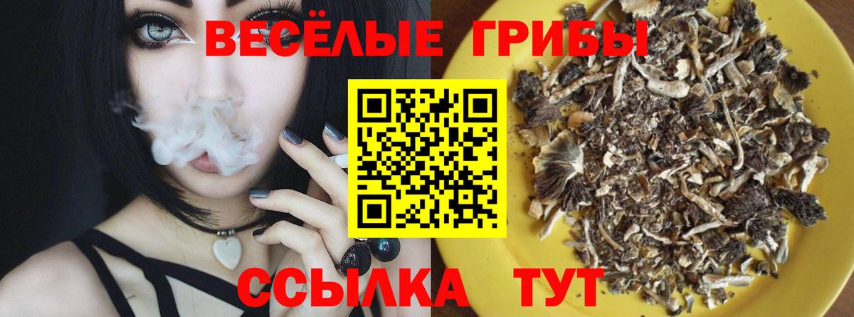 Псилоцибиновые грибы мухоморы  Галлюциногенные грибы GOLDEN TEACHER  Сланцы  Вход с VPN 